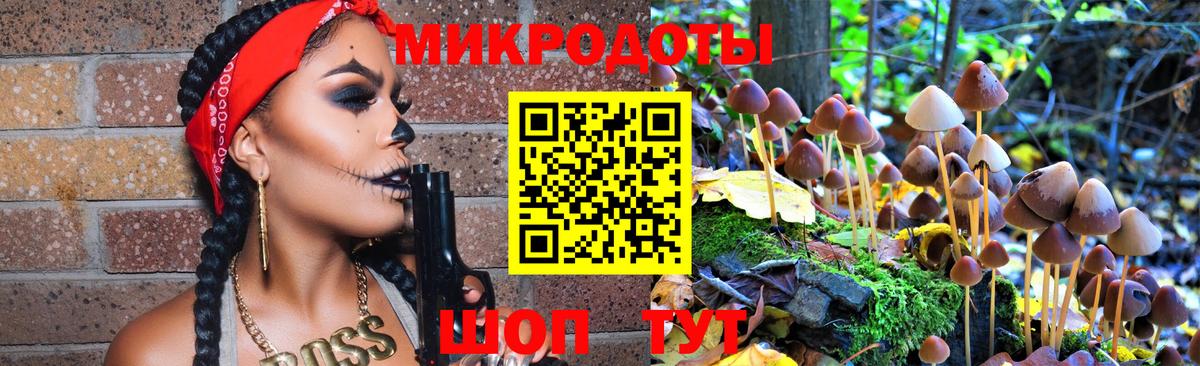 Качканар  Галлюциногенные грибы Psilocybine cubensis  Вход с VPN  Галлюциногенные грибы прущие грибы 